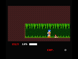 Dragon Buster screenshot 6 for MSX2